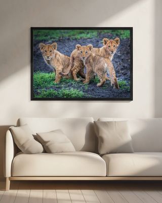 Awaiting mom's return