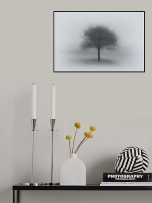 Tree in Fog