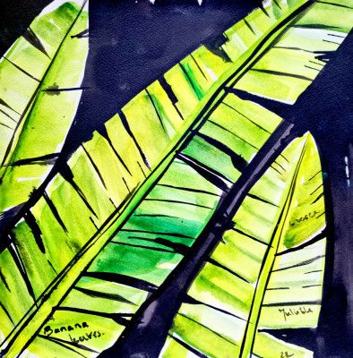 Banana leaves