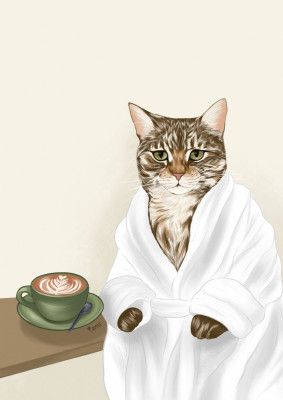 Cat In A White Robe