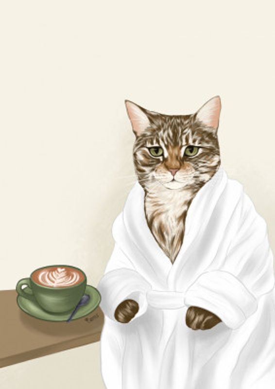 Cat In A White Robe