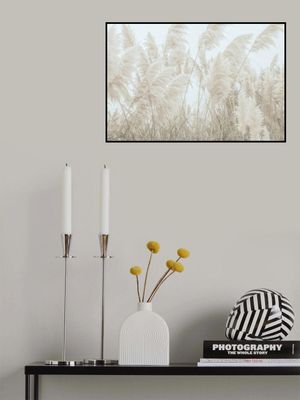 Wild Pampas Reed And Nature’s Beauty