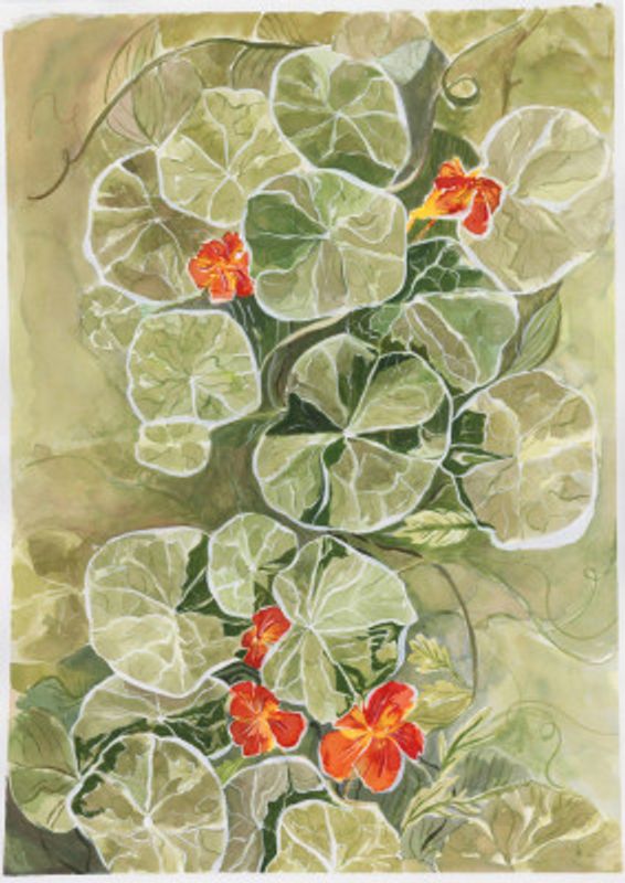 Nasturtium Tapestry