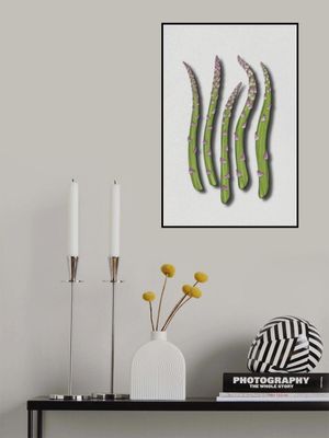 Asparagus