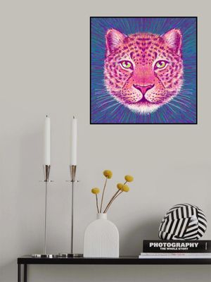Animal Face   Leopard