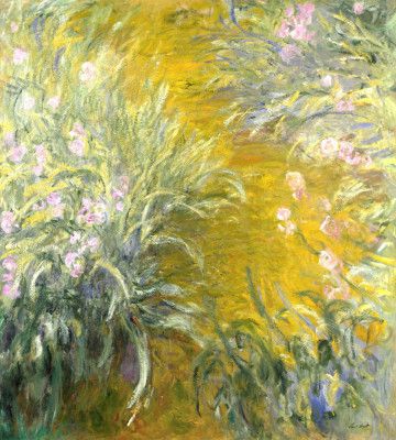 The Path through the Irises