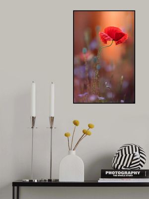 At the end of the day.