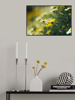 Vibrant Floral Summer Flowers