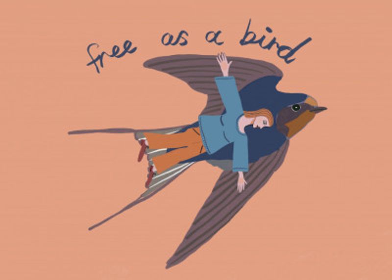 Free as a bird, starling