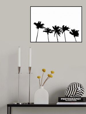 Palms White