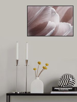 Pink Macro Flower Photo 1