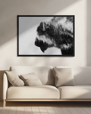 Bison
