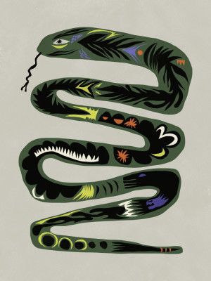 Season of the snake