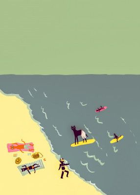 Cats beach day humour surfing