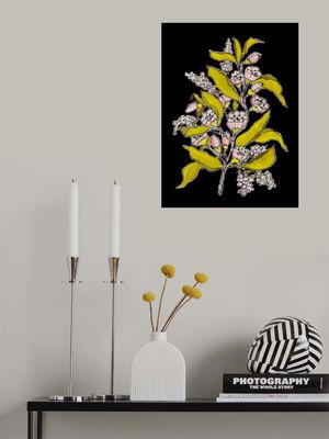 Blossoming branch with black background gouache painting