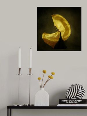 The girl &amp; dance