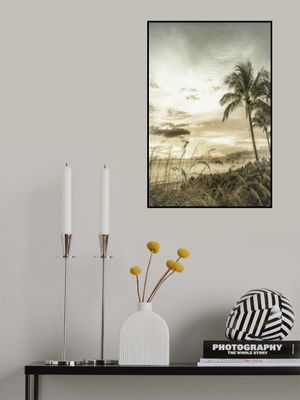 BONITA BEACH Vintage Sunset