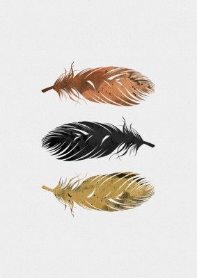 Feathers