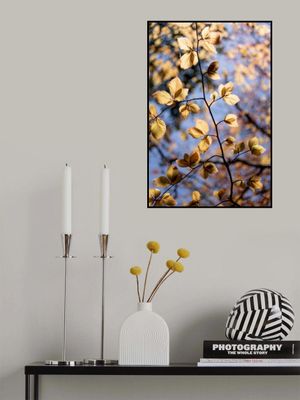 Golden Autumn Leaves
