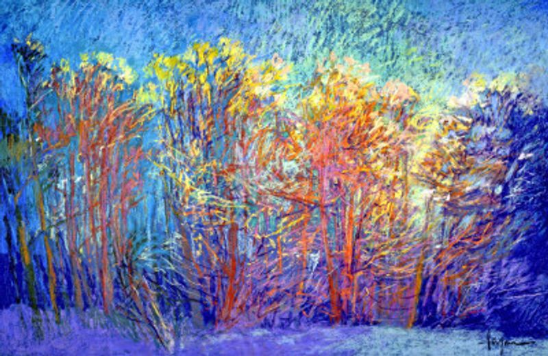 Nature Inspired Landscape