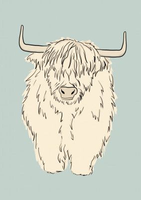 Highland cow on green