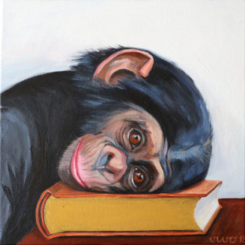 Resting Monkey Head On A Book