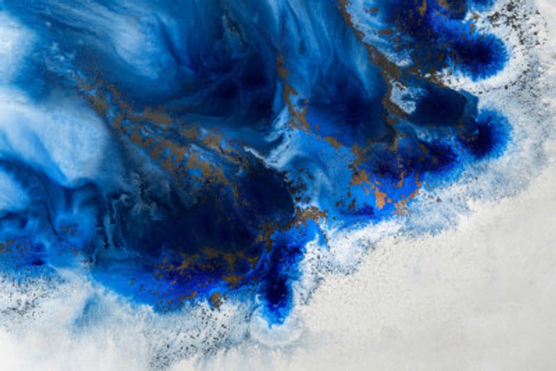 Nautical Art - Graceful Release