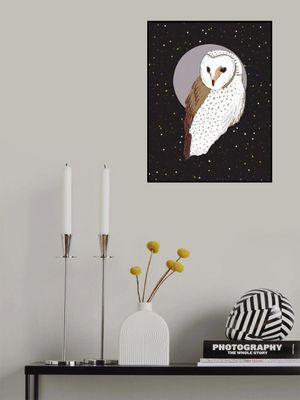 Owl At Night