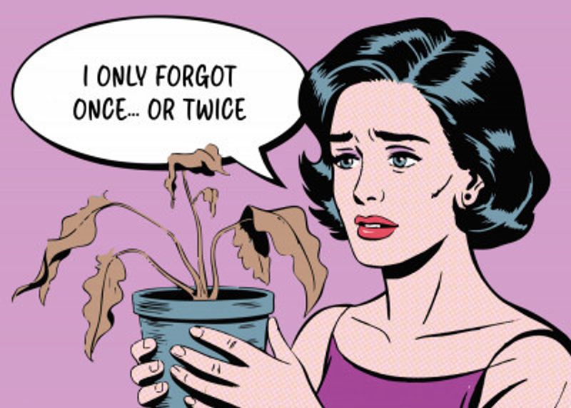 I Only Forgot Once, or Twice