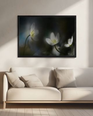 Light in the darkness