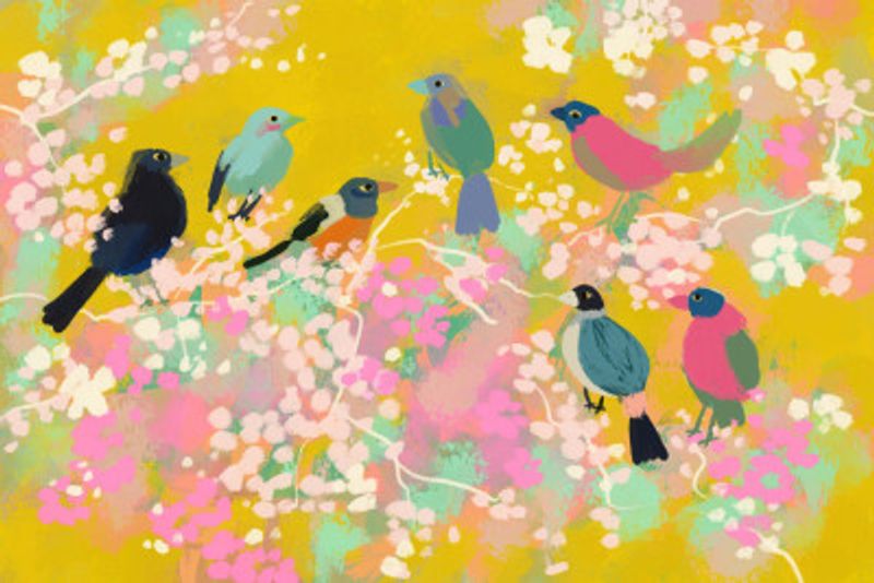 Vibrant Spring Birds