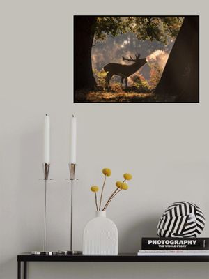 He Waits in the Shadows