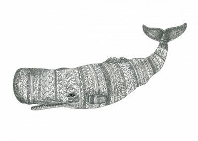 Patterned Whale