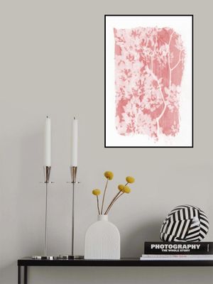 Pink Tree Foliage Silhouette