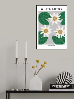 White Lotus - National flower of Vietnam