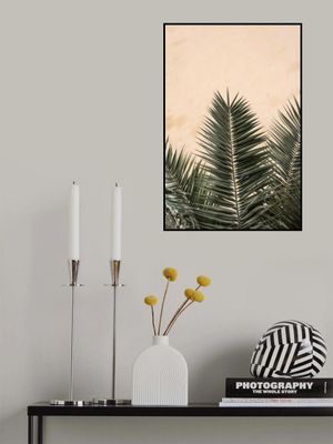 Palm leaves and wall_1