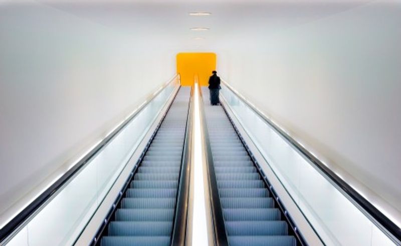 Who's Afraid of Black, Yellow and Grey