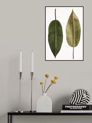 Dual Leaf Elegance