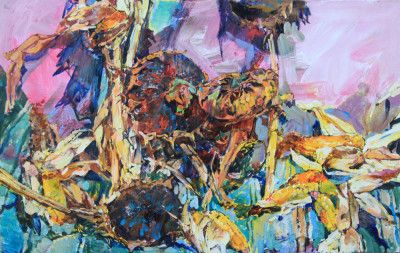 Ripe sunflowers and corn