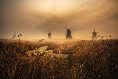 A fascinating morning