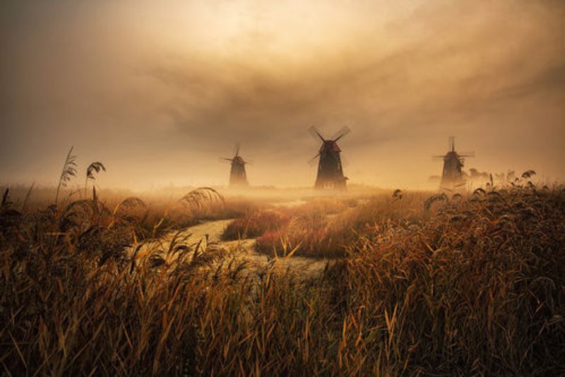 A fascinating morning