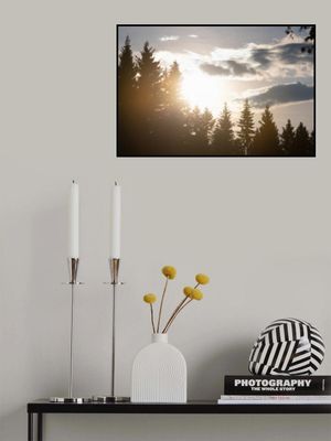 Mystical Forest Scene 5