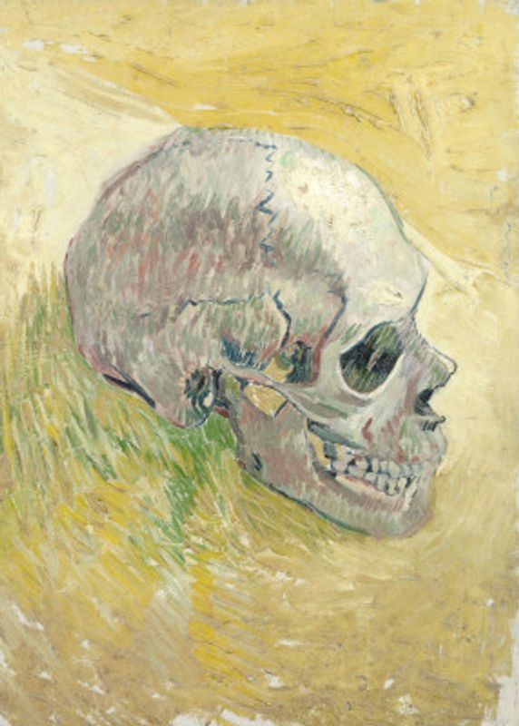 Skull (1887) Original