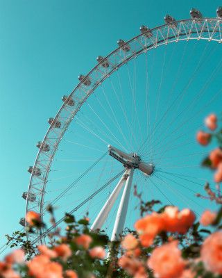 Magical London Eye