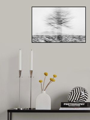 Moving tree in the snow