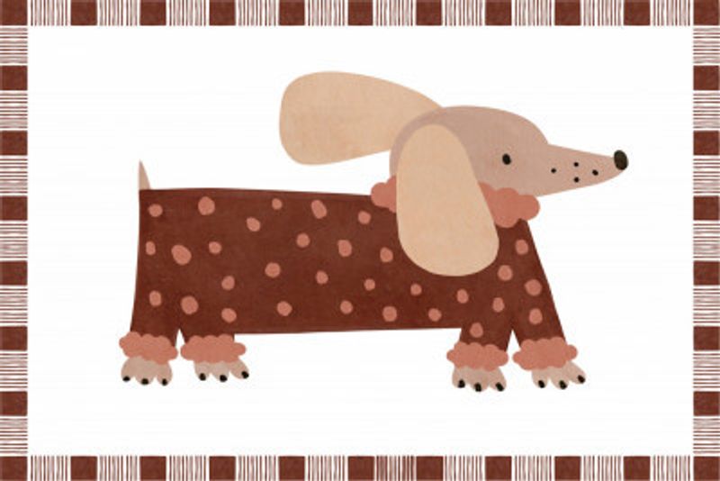 Dotted Dachshund