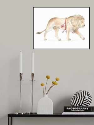 Lion in Harness