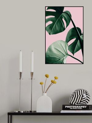 Monstera Pink No 07