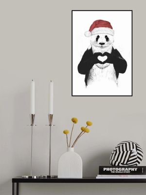 Santa panda