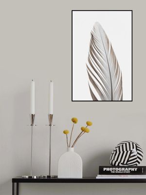 Feather_003